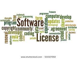 business software license