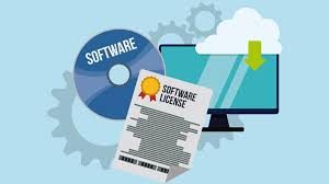 software licensing 6